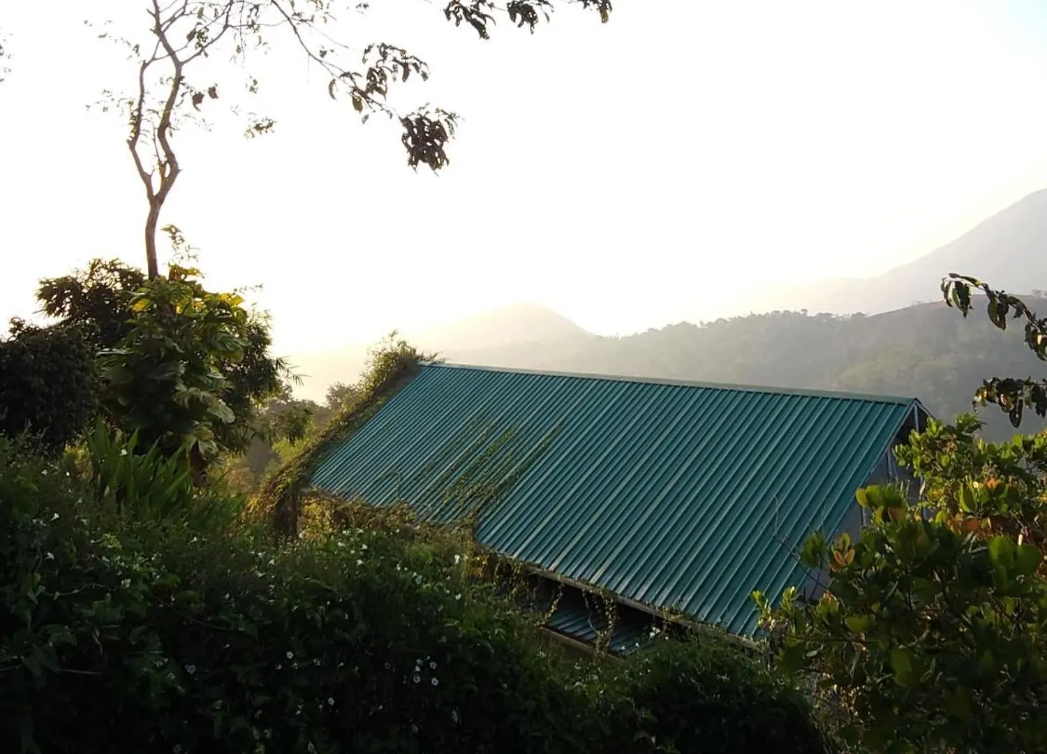 Floresta Resort Kumudi India